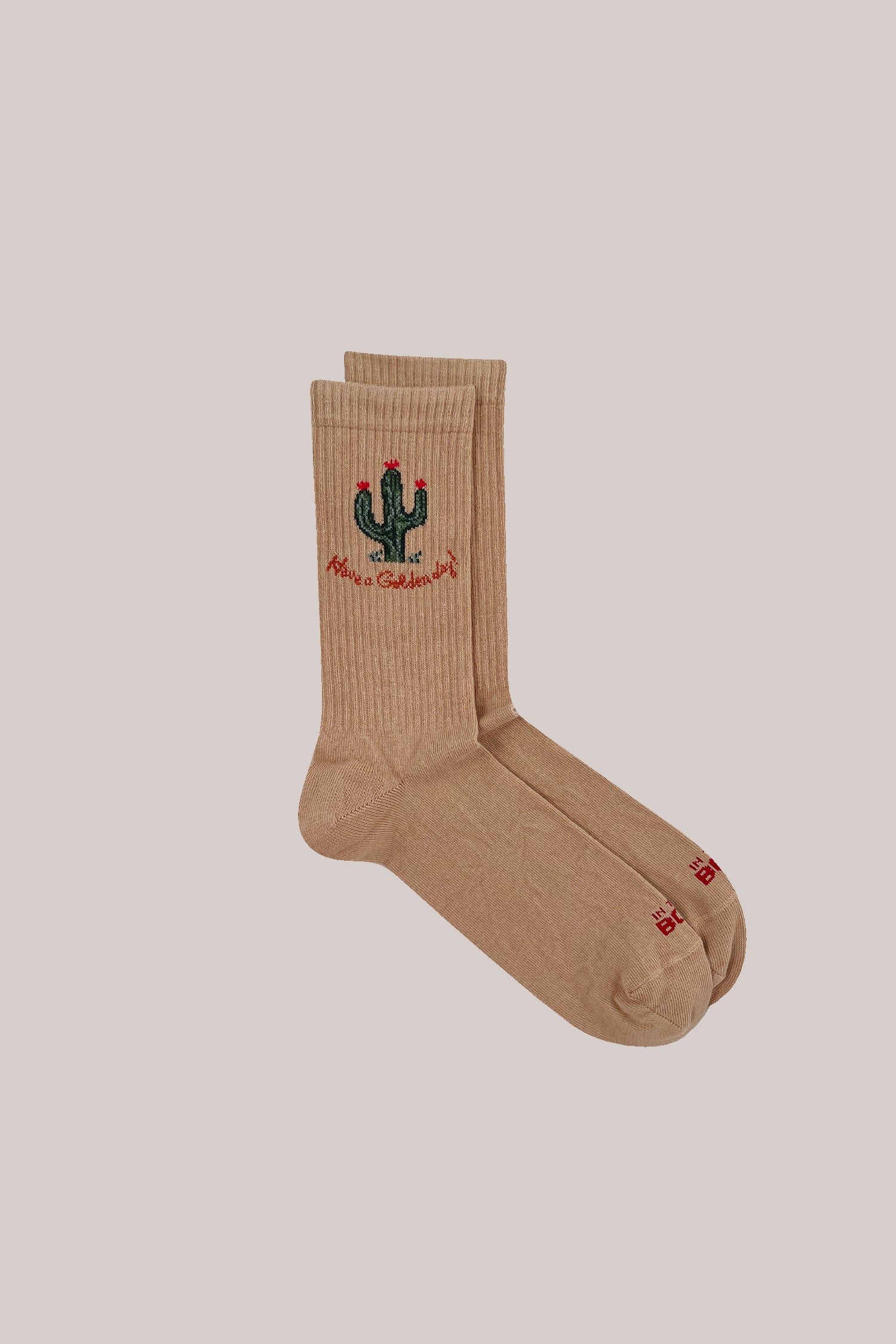 CALZE BASKET CACTUS GOLDEN DAY CAMMELLO
