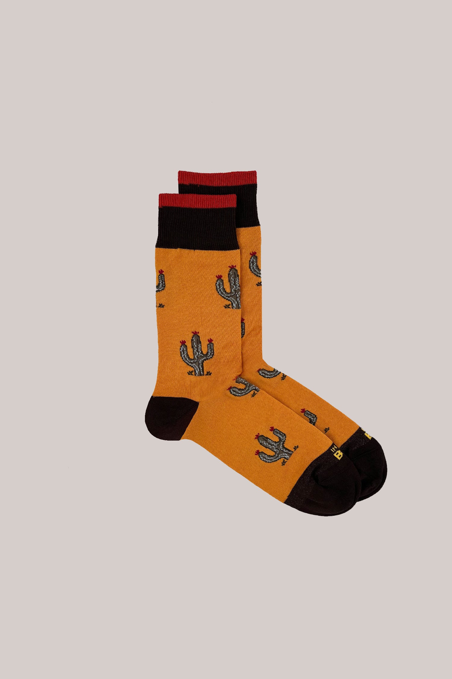 CALZE CACTUS ALLOVER ARANCIONE SCURO
